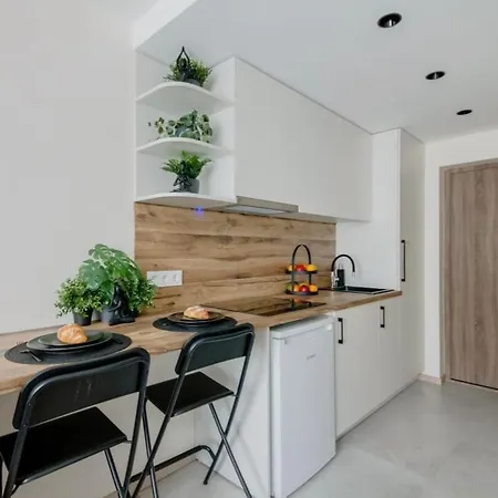 Appartement Stylish In Zverynas Vilnius