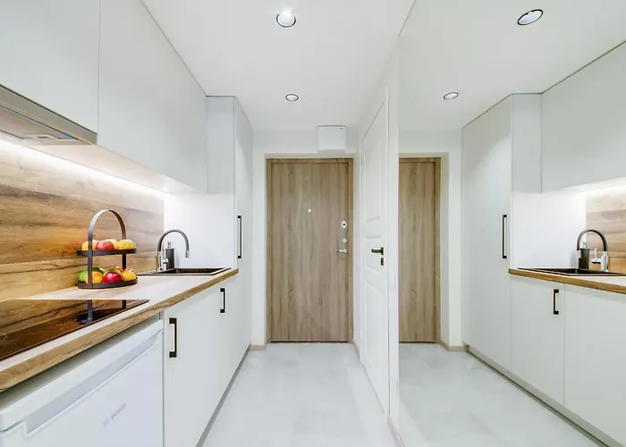 Apartman Stylish In Zverynas Vilnius