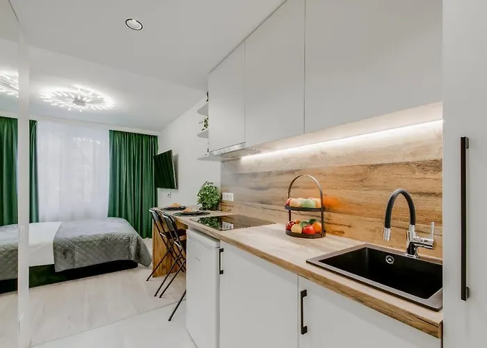 Appartamento Stylish In Zverynas