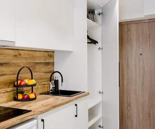 Apartman Stylish In Zverynas *