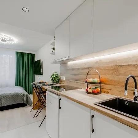 Apartment Stylish In Zverynas